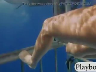 Seksi hotties swam dengan shark dalam yang sangkar dan snowboarding