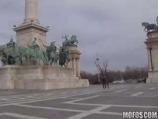 Caldi bisbetico bruna rondini massiccio difficile albero